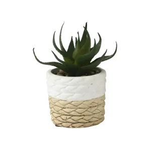 Potted Artificial Succulent - image 2