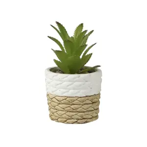 Potted Artificial Succulent - image 3