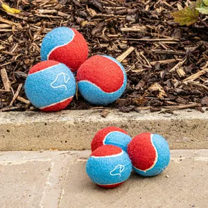 Power Pooch Dog Tennis Balls - Mini
