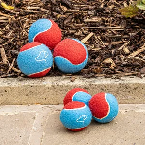 Power Pooch Dog Tennis Balls - Standard