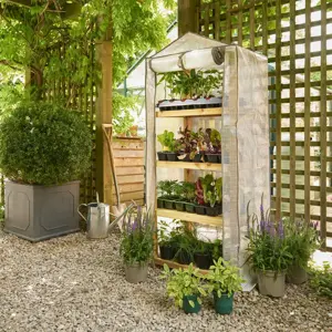 Premium 4 Tier Wooden Growhouse