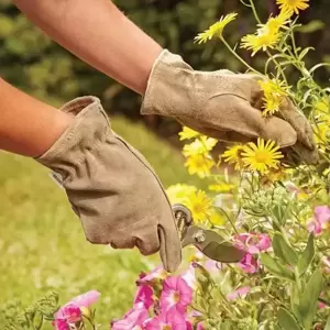 Gloves - Premium Olive Gardeners - Medium - image 2