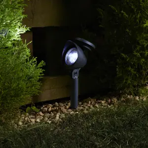 Prima Stake Spotlight Set