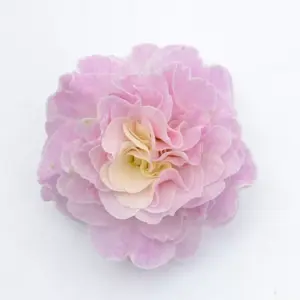 Primula Belarina 'Pink Champagne' - image 2
