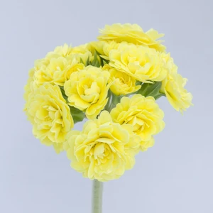 Image Credit: Kerley & Co.