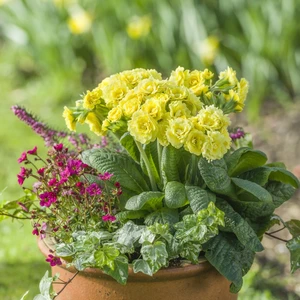 Image Credit: Kerley & Co.