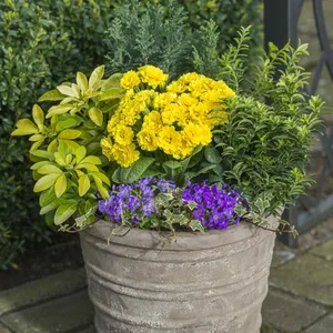 Image Credit: Kerley & Co.