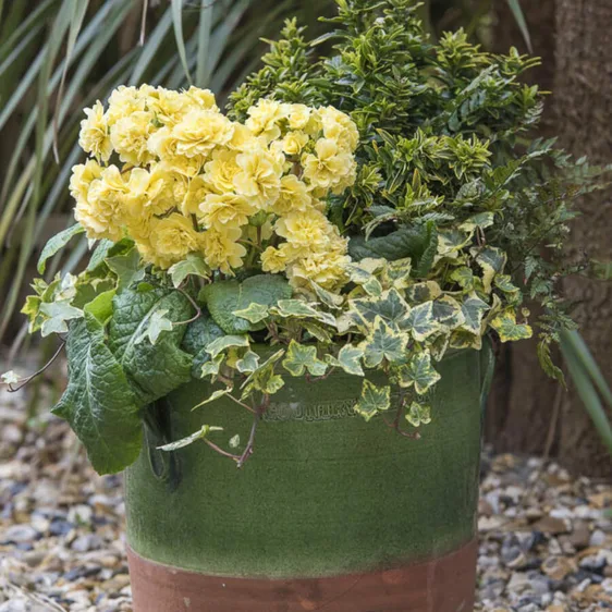 Image Credit: Kerley & Co.