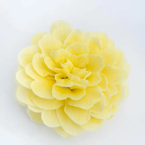 Image Credit: Kerley & Co.