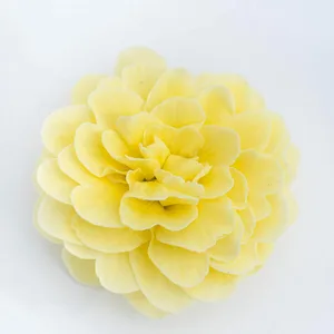 Image Credit: Kerley & Co.