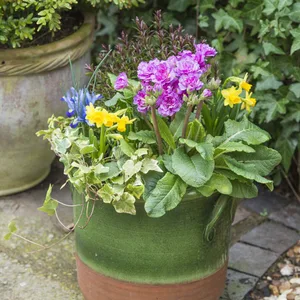 Image Credit: Kerley & Co.