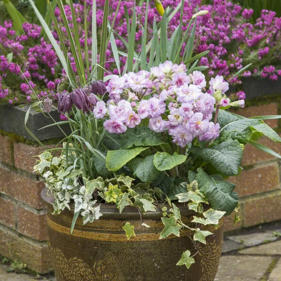 Image Credit: Kerley & Co.