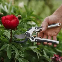 Pruning & Trimming