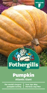 Pumpkin Atlantic Giant - image 1