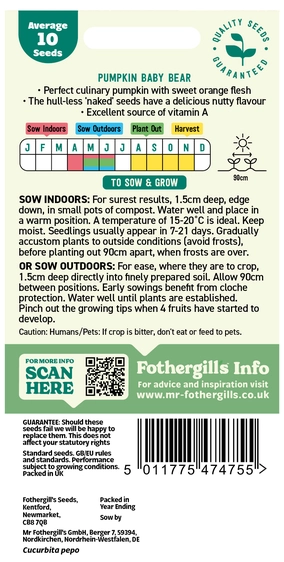 Pumpkin Baby Bear - image 2