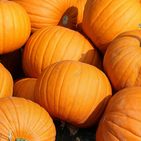 Pumpkin 'Lack O' Lantern'