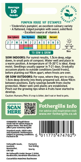 Pumpkin Rouge Vif D'etampes Seeds - image 2