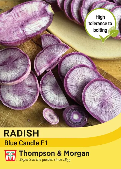 Radish Blue Candle Mixed F1 Seeds - image 1