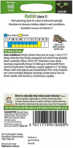 Radish Celesta F1 - image 2