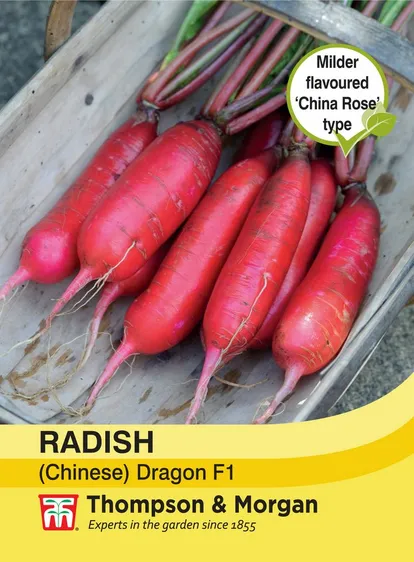 Radish (Chinese) Dragon F1 - image 1