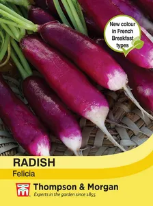 Radish Felicia - image 1