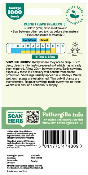 Radish French Breakfast 3 - image 2