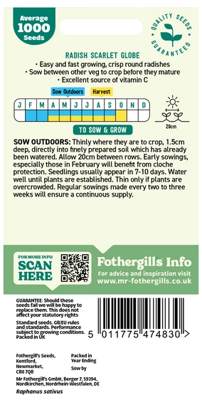 Radish Scarlet Globe Seeds - image 2