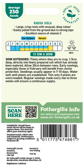 Radish Viola Seeds - image 2