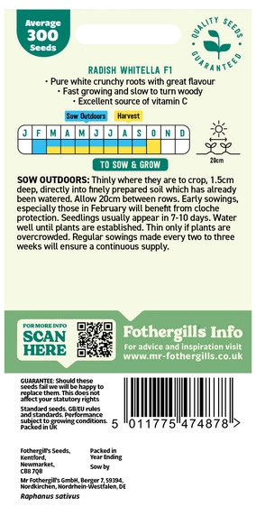 Radish Whitella F1 Seeds - image 2