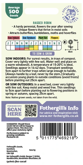 Ragged Robin - image 2