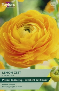 Ranunculus Lemon Zest