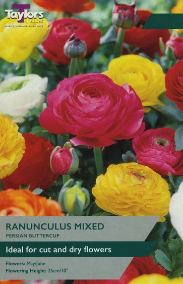 Ranunculus mixed