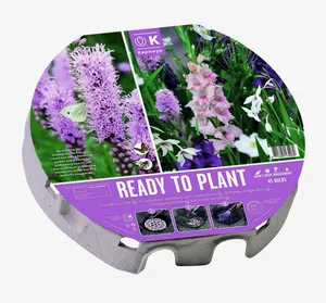 Ready To Plant Biodiversity Bulb Tray