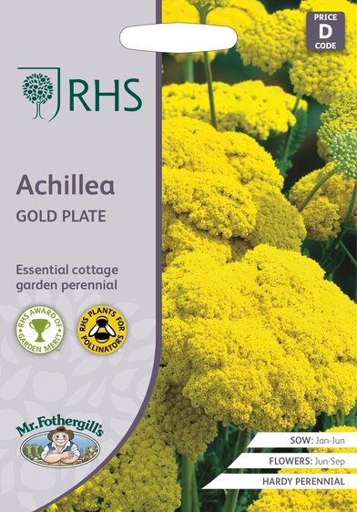 RHS Achillea Gold Plate Seeds - image 1
