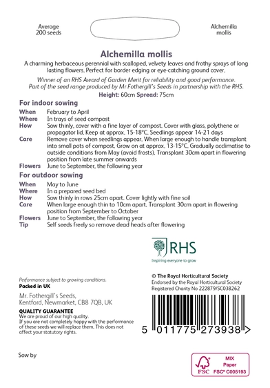RHS Alchemilla mollis Seeds - image 2