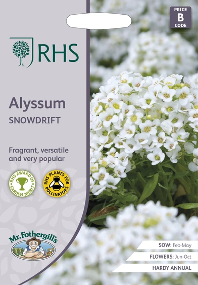 RHS Alyssum Snowdrift Seeds - image 1
