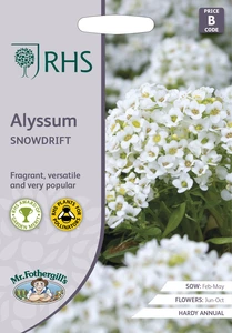 RHS Alyssum Snowdrift Seeds - image 1