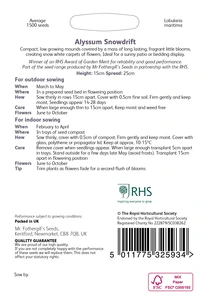 RHS Alyssum Snowdrift Seeds - image 2