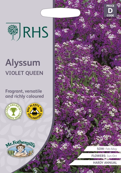 RHS Alyssum Violet Queen Seeds - image 1