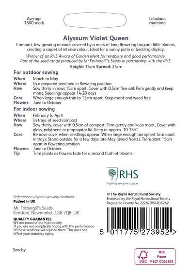 RHS Alyssum Violet Queen Seeds - image 2