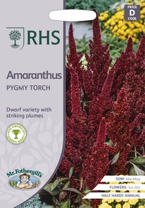 RHS Amaranthus Pygmy Torch Seeds - image 1
