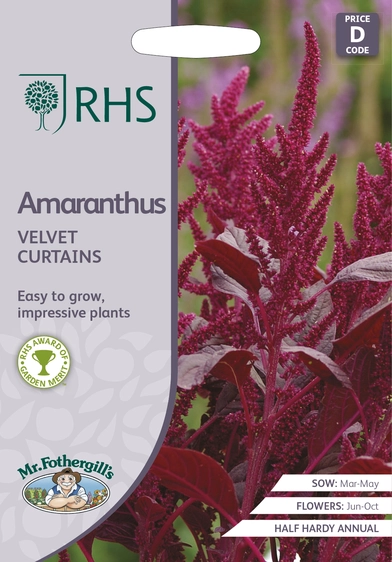 RHS Amaranthus Velvet Curtains Seeds - image 1