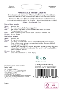 RHS Amaranthus Velvet Curtains Seeds - image 2