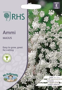 RHS Ammi majus Seeds - image 1