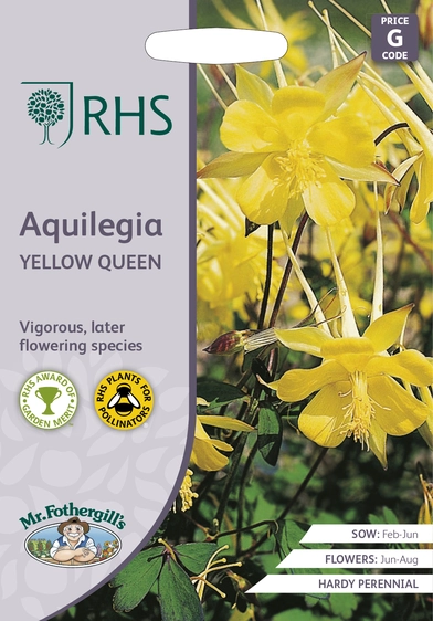 RHS Aquilegia Yellow Queen Seeds - image 1