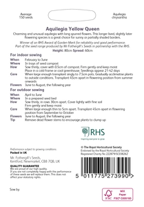 RHS Aquilegia Yellow Queen Seeds - image 2