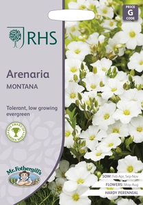 RHS Arenaria montana Seeds