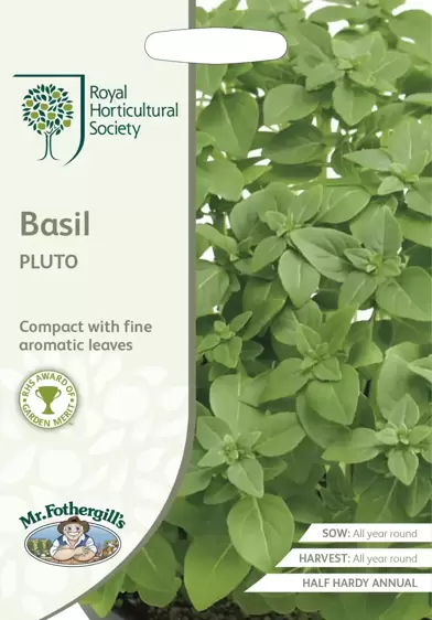 RHS Basil Pluto - image 1