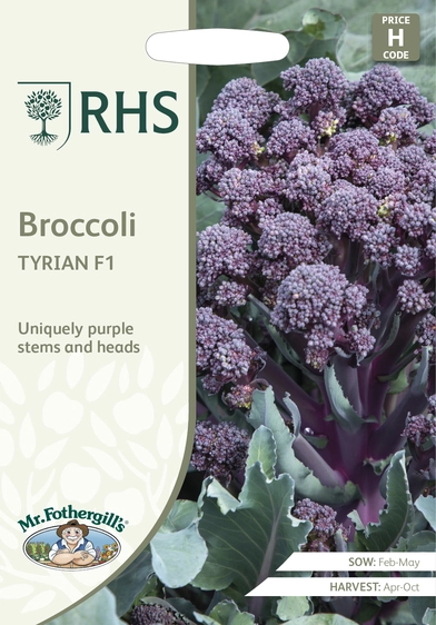 RHS Broccoli Tyrialn F1 Seeds - image 1