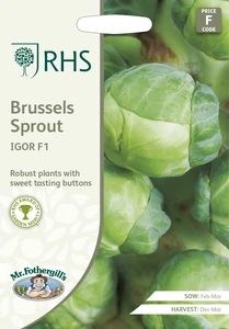 RHS Brussels Sprouts Igor F1 Seeds - image 1